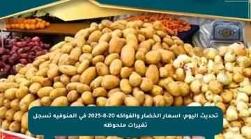 تحديث اليوم: أسعار الخضار والفواكه 20-8-2025 في المنوفية تسجل تغيرات ملحوظة